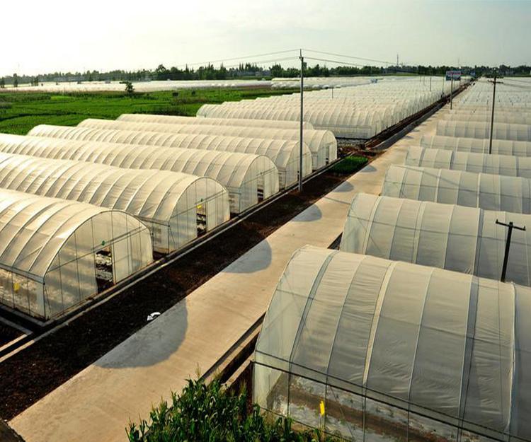 供应温室大棚 蔬菜大棚 花卉大棚 温室大棚厂家-南京合宁钢结构工程