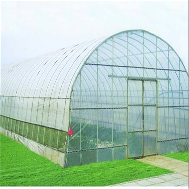 【百牧旺】温室大棚 薄膜单体温室 单体温室 单体温室大棚