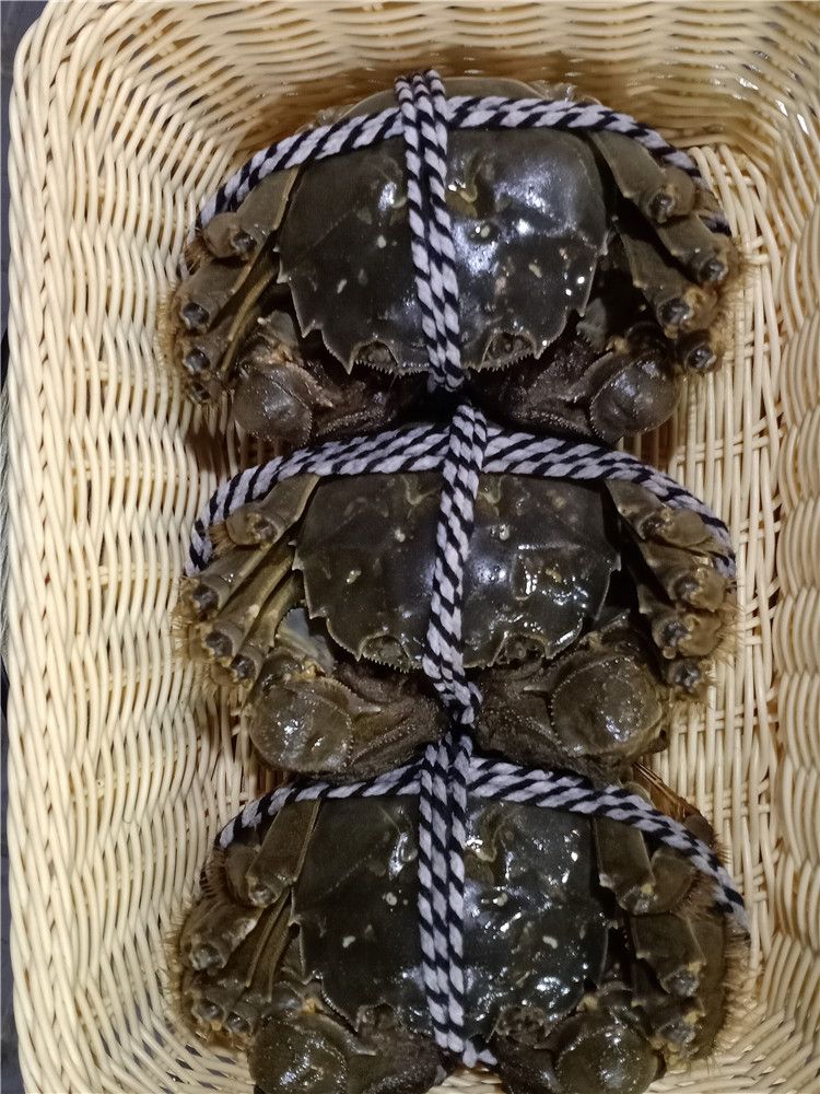 太湖大闸蟹