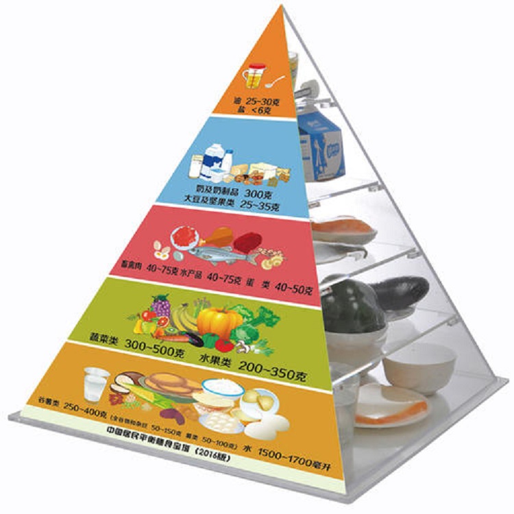 亚克力膳食宝塔   膳食平衡金字塔模型  营养食物亚克力模型  厂家直销 可定制 南京