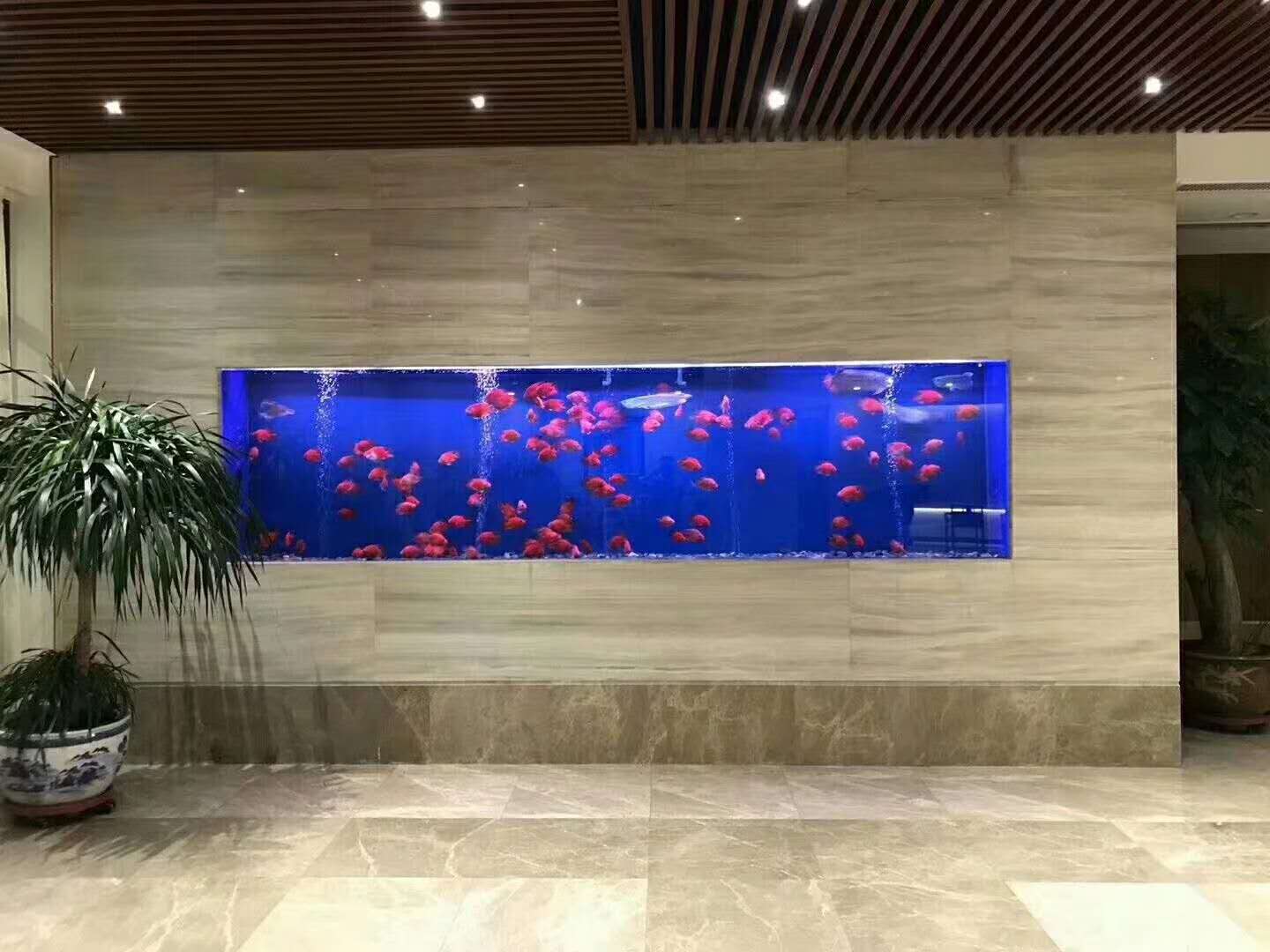 大型亚克力鱼缸定制-认准湛蓝海-厂家直销-价格优惠