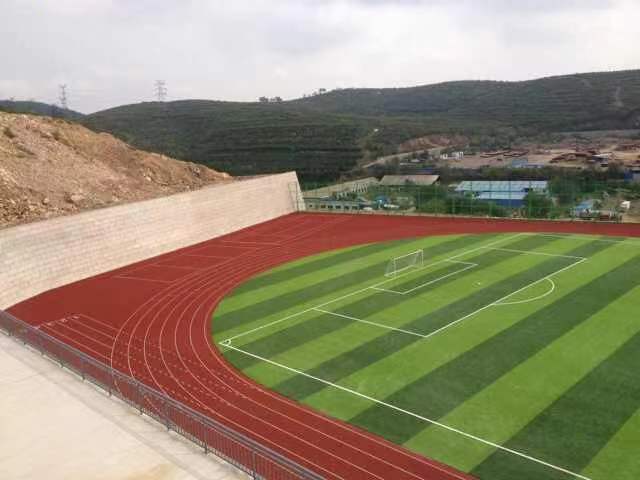 耐搏体育 EPDM 环氧树脂地板 塑胶跑道 运动场地 epdm塑胶地板施工