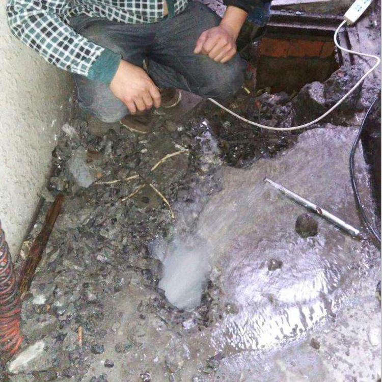 南京佳乐 专业自来水管网漏水检测