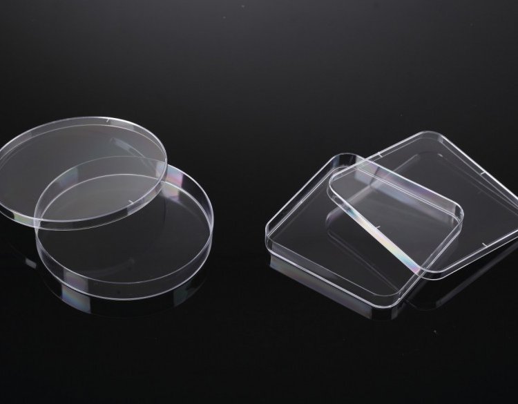 一次性塑料无菌细胞培养皿 高度透明聚苯乙烯皿 学校实验专用